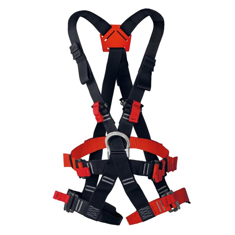 W0059BR Singing Rock TARZAN ECONOMIC - Image 1